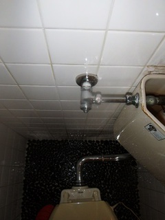 DSCF8825.JPG
